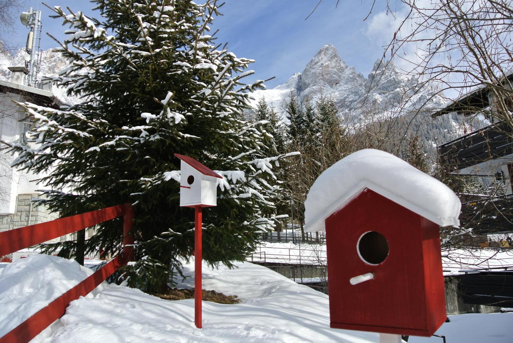 Hotel Regina San Martino Di Castrozza Buitenkant foto