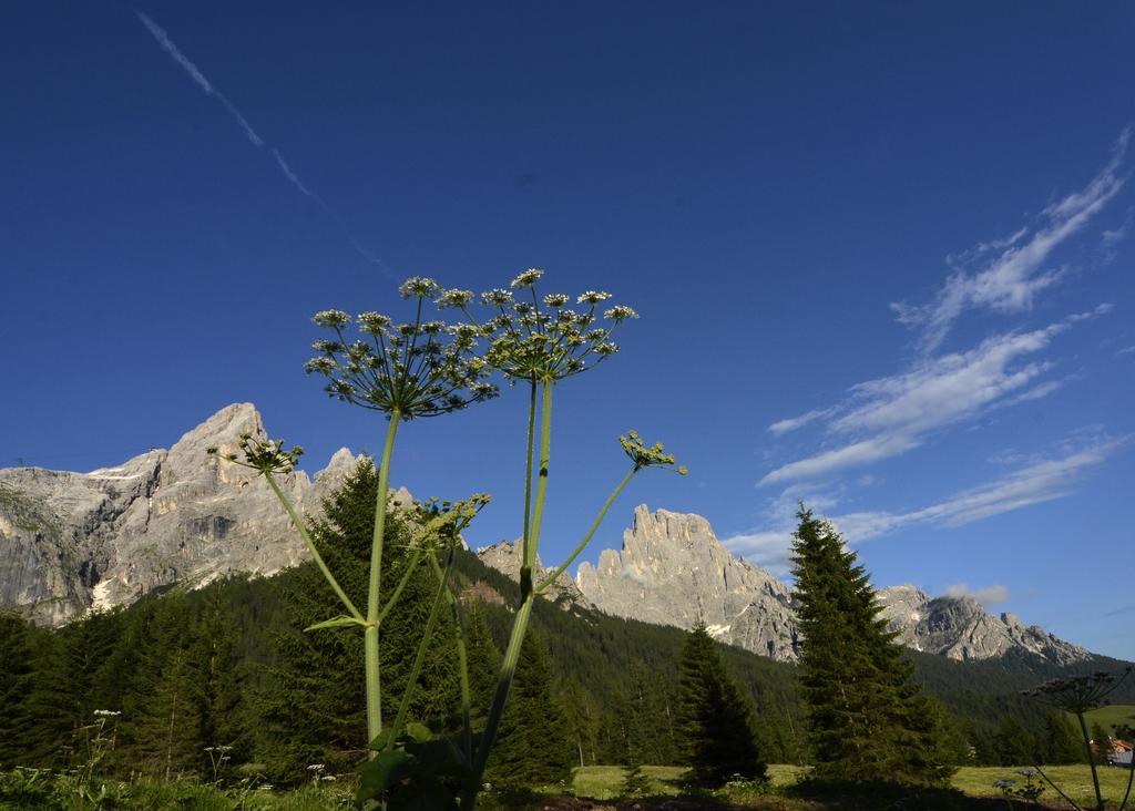 Hotel Regina San Martino Di Castrozza Buitenkant foto